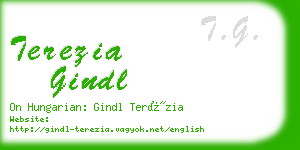 terezia gindl business card